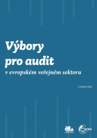 vybory_pro_audit_v_evropskem_verejnem_sektoru.jpg